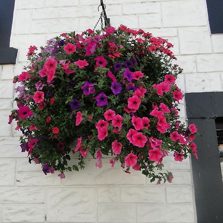 The Red Lion Inn Doune ภายนอก รูปภาพ
