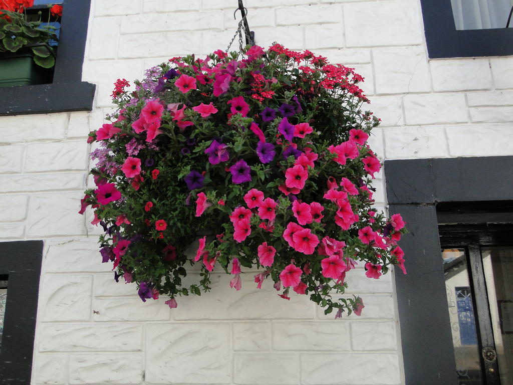 The Red Lion Inn Doune ภายนอก รูปภาพ